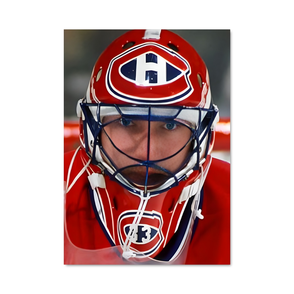 Poster Gardien de la Glace – affiche Hockey sur glace